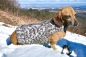 Preview: Bio-Hunde-Wrap aus 100 % Bio-Baumwolle, GOTS-zertifiziert