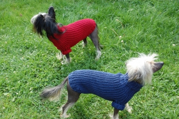 Hunde-Pullover Pia, handgestrickt aus Öko-Wolle, EXP-zertifiziert
