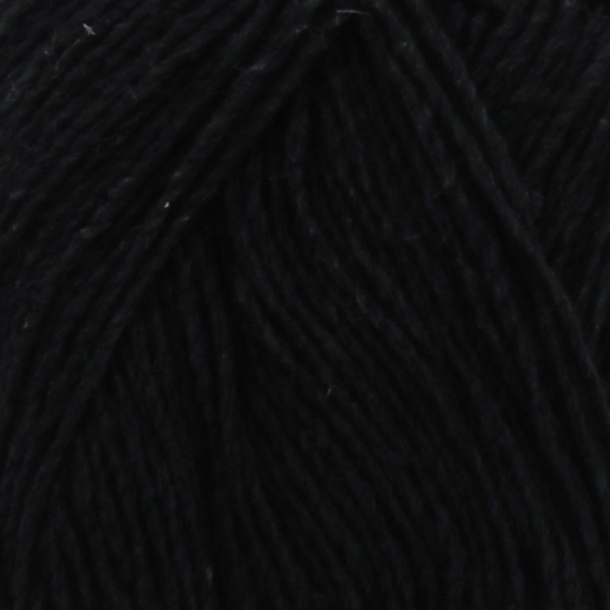 Black Tulip