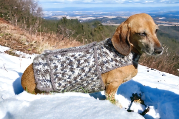Bio-Hunde-Wrap aus 100 % Bio-Baumwolle, GOTS-zertifiziert