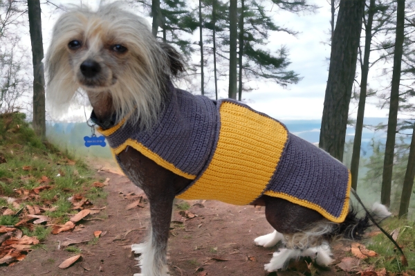 Bio-Hunde-Wrap aus 100 % Bio-Baumwolle, GOTS-zertifiziert