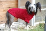Hunde-Pullover Pia, handgestrickt aus Öko-Wolle, EXP-zertifiziert